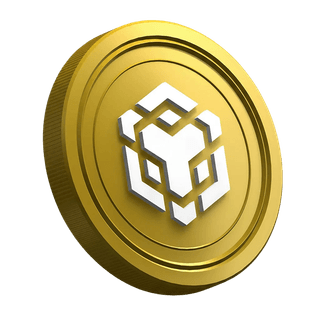 Token de criptomoneda Binance BNB en la sección de guía dirigida a operadores principiantes